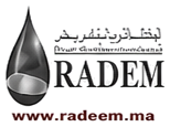 RADEM